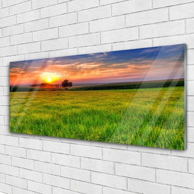 Glasbild aus Plexiglas® Wiese Sonne Natur