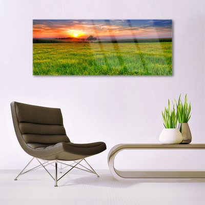 Glasbild aus Plexiglas® Wiese Sonne Natur