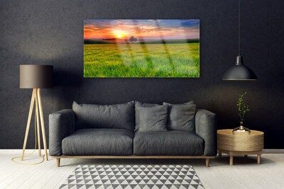 Glasbild aus Plexiglas® Wiese Sonne Natur