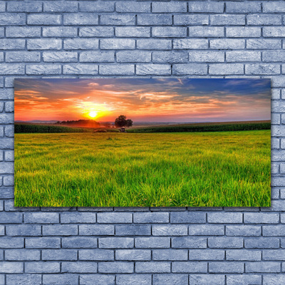 Glasbild aus Plexiglas® Wiese Sonne Natur