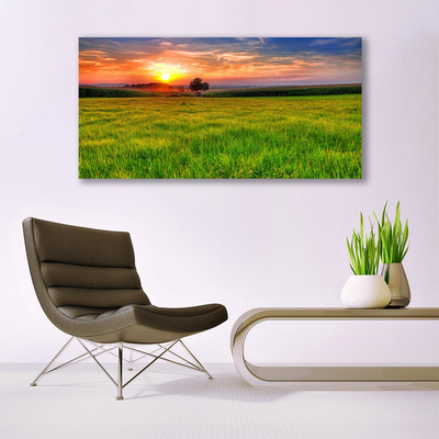 Glasbild aus Plexiglas® Wiese Sonne Natur