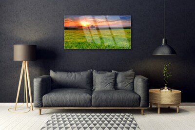 Glasbild aus Plexiglas® Wiese Sonne Natur