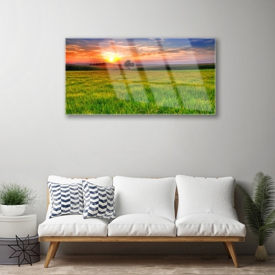 Glasbild aus Plexiglas® Wiese Sonne Natur