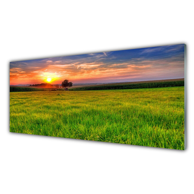 Glasbild aus Plexiglas® Wiese Sonne Natur