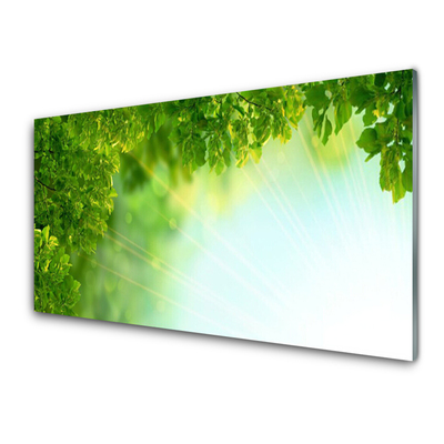 Glasbild aus Plexiglas® Blätter Natur