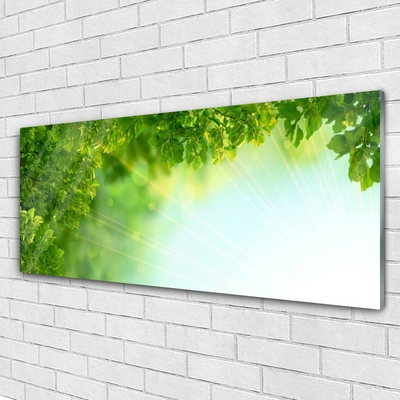 Glasbild aus Plexiglas® Blätter Natur