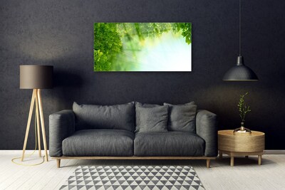 Glasbild aus Plexiglas® Blätter Natur