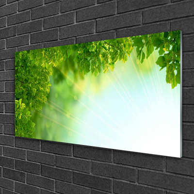 Glasbild aus Plexiglas® Blätter Natur