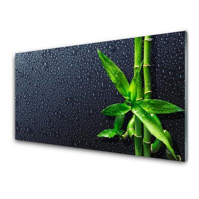 Glasbild aus Plexiglas® Bambusrohre Pflanzen