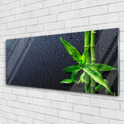 Glasbild aus Plexiglas® Bambusrohre Pflanzen