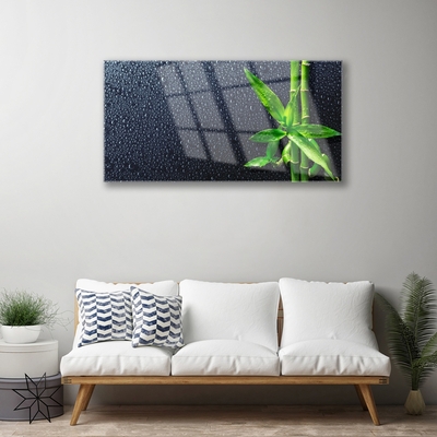 Glasbild aus Plexiglas® Bambusrohre Pflanzen