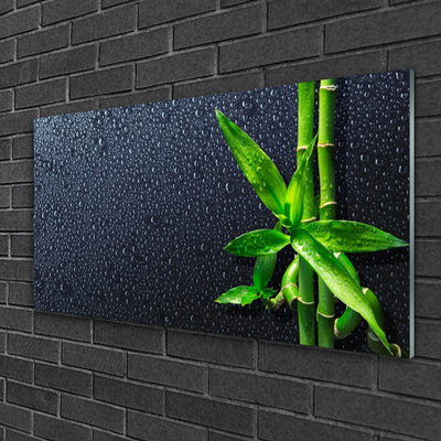 Glasbild aus Plexiglas® Bambusrohre Pflanzen