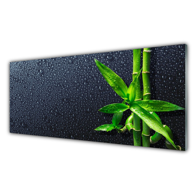 Glasbild aus Plexiglas® Bambusrohre Pflanzen