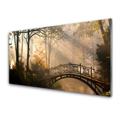 Glasbild aus Plexiglas® Wald Brücke Architektur