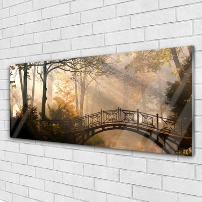 Glasbild aus Plexiglas® Wald Brücke Architektur