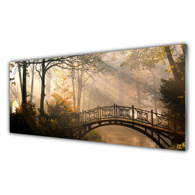 Glasbild aus Plexiglas® Wald Brücke Architektur