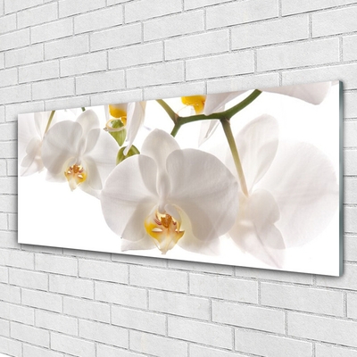 Glasbild aus Plexiglas® Blumen Pflanzen