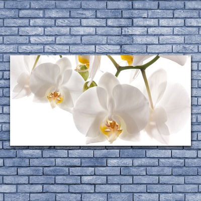 Glasbild aus Plexiglas® Blumen Pflanzen