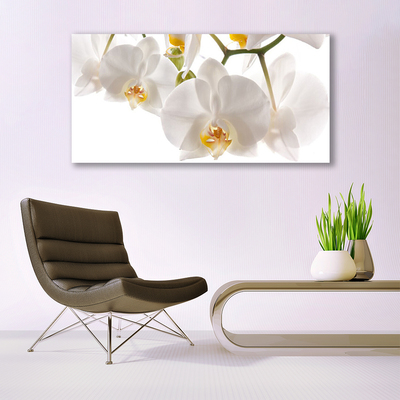 Glasbild aus Plexiglas® Blumen Pflanzen