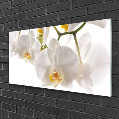 Glasbild aus Plexiglas® Blumen Pflanzen