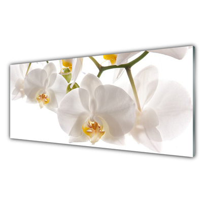 Glasbild aus Plexiglas® Blumen Pflanzen