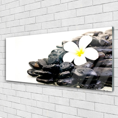 Glasbild aus Plexiglas® Blume Steine Kunst