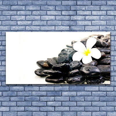 Glasbild aus Plexiglas® Blume Steine Kunst