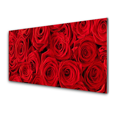 Glasbild aus Plexiglas® Rosen Pflanzen