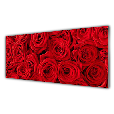 Glasbild aus Plexiglas® Rosen Pflanzen