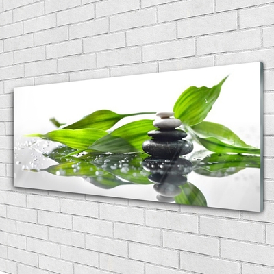 Glasbild aus Plexiglas® Steine Blätter Kunst