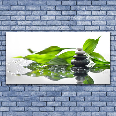 Glasbild aus Plexiglas® Steine Blätter Kunst