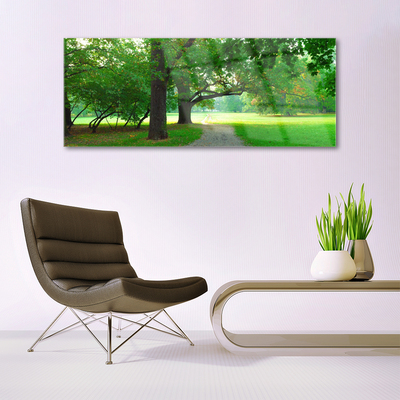 Glasbild aus Plexiglas® Fußpfad Bäume Natur