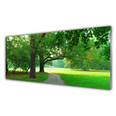 Glasbild aus Plexiglas® Fußpfad Bäume Natur