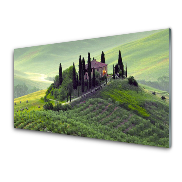 Glasbild aus Plexiglas® Wiese Bäume Natur