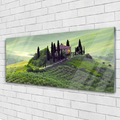 Glasbild aus Plexiglas® Wiese Bäume Natur