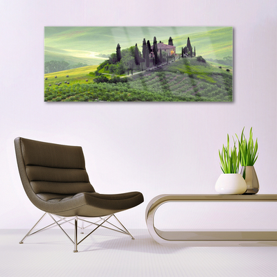 Glasbild aus Plexiglas® Wiese Bäume Natur