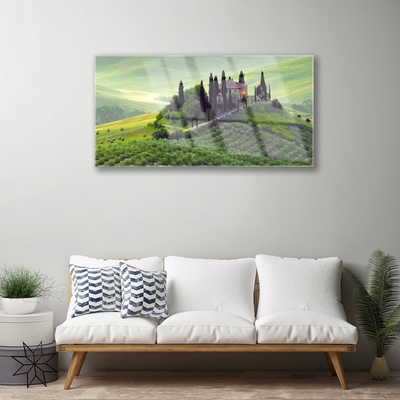 Glasbild aus Plexiglas® Wiese Bäume Natur