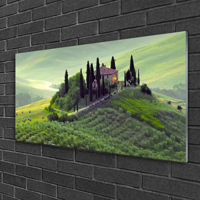 Glasbild aus Plexiglas® Wiese Bäume Natur