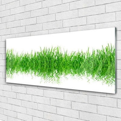 Glasbild aus Plexiglas® Gras Natur