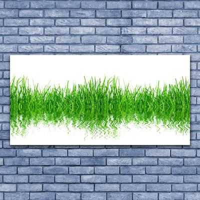 Glasbild aus Plexiglas® Gras Natur