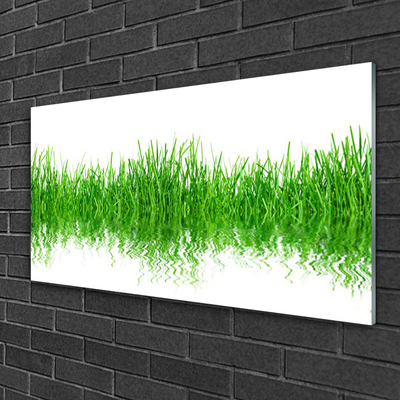 Glasbild aus Plexiglas® Gras Natur