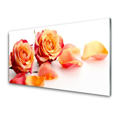 Glasbild aus Plexiglas® Rosen Pflanzen