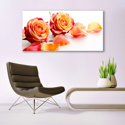 Glasbild aus Plexiglas® Rosen Pflanzen