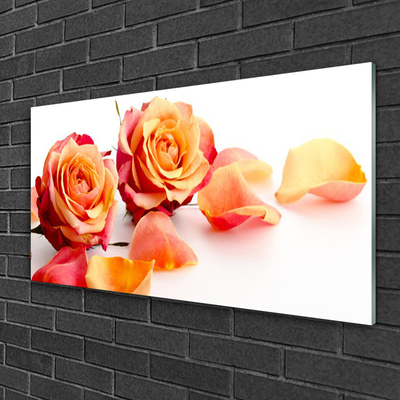 Glasbild aus Plexiglas® Rosen Pflanzen