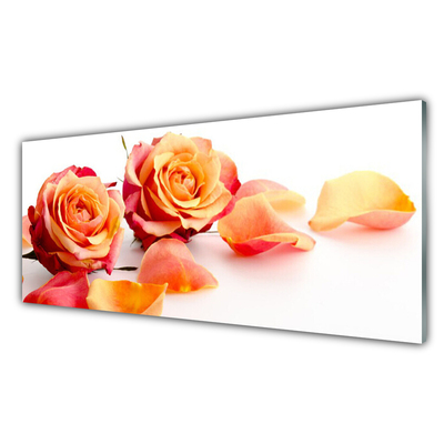 Glasbild aus Plexiglas® Rosen Pflanzen