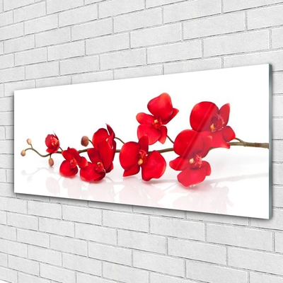 Glasbild aus Plexiglas® Blumen Pflanzen