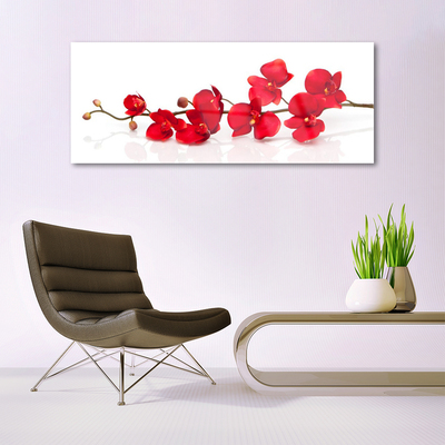 Glasbild aus Plexiglas® Blumen Pflanzen