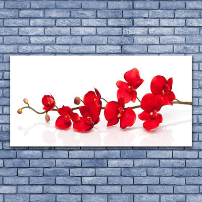 Glasbild aus Plexiglas® Blumen Pflanzen