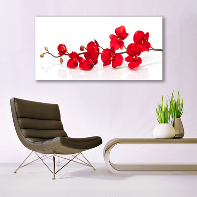 Glasbild aus Plexiglas® Blumen Pflanzen