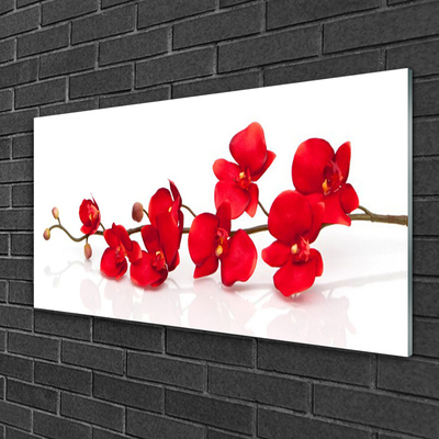 Glasbild aus Plexiglas® Blumen Pflanzen